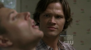 Mystery Spot Pictures - Supernatural Fan Site Mystery Spot Pictures - Supernatural Fan Site